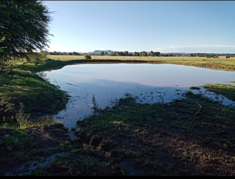 4 Bedroom Property for Sale in Bloemdal Free State